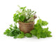 Healthy Herbs Wall Decal