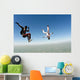 Skydiving Photo Wall Decal