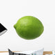 Lime Wall Decal