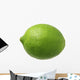 Lime Wall Decal