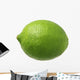 Lime Wall Decal