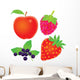 Apple Currants Raspberry and Wall Decal