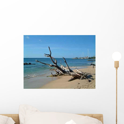 Driftwood Wall Decal