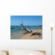 Driftwood Wall Decal