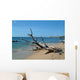 Driftwood Wall Decal