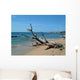 Driftwood Wall Decal