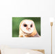 Barn Owl Close-up Wall Decal