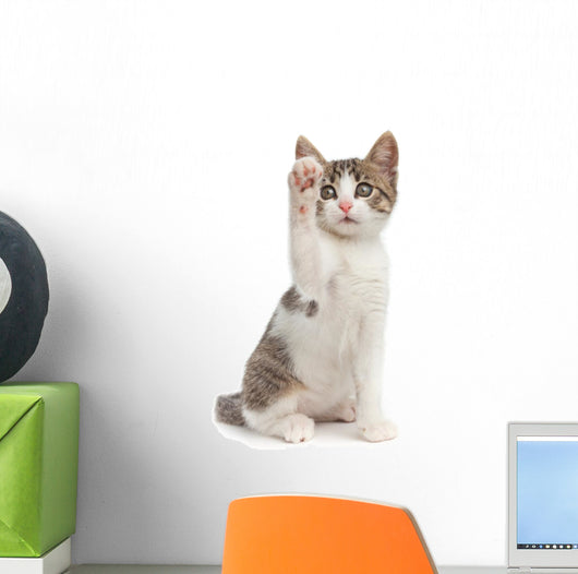 Hello Wall Decal