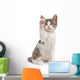 Hello Wall Decal