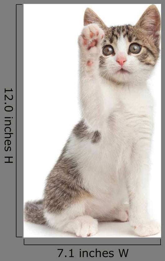 Hello Wall Decal