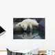 Polar Bear Reflections Wall Decal