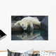 Polar Bear Reflections Wall Decal