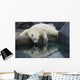 Polar Bear Reflections Wall Decal