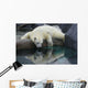 Polar Bear Reflections Wall Decal