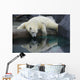 Polar Bear Reflections Wall Decal