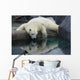 Polar Bear Reflections Wall Decal