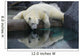 Polar Bear Reflections Wall Decal