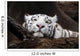 White Tiger Wall Mural