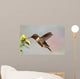 Ruby-throated Hummingbird Archilochus Colubris Wall Decal