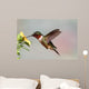 Ruby-throated Hummingbird Archilochus Colubris Wall Decal
