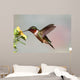 Ruby-throated Hummingbird Archilochus Colubris Wall Decal