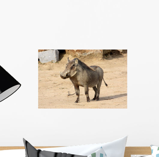 Common Warthog Phacochoerus Africanus Wall Decal