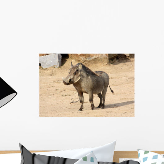 Common Warthog Phacochoerus Africanus Wall Decal