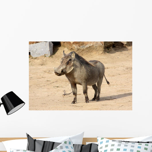 Common Warthog Phacochoerus Africanus Wall Decal