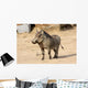Common Warthog Phacochoerus Africanus Wall Decal
