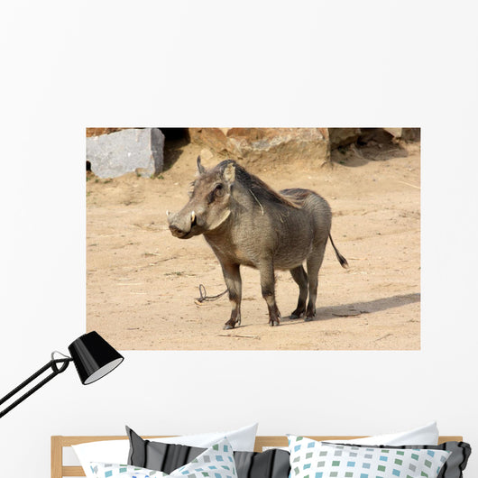 Common Warthog Phacochoerus Africanus Wall Decal