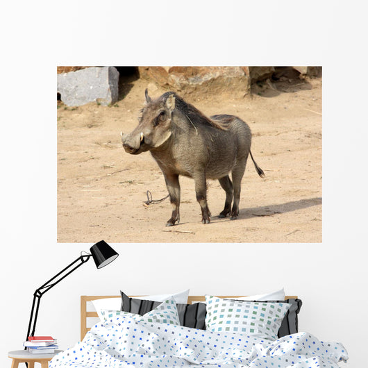 Common Warthog Phacochoerus Africanus Wall Decal
