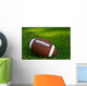 American Football on Grass Wall Decal