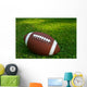 American Football on Grass Wall Decal