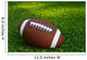 American Football on Grass Wall Decal