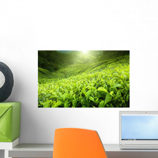 Tea Plantation Cameron Highlands Wall Decal Design 2
