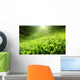 Tea Plantation Cameron Highlands Wall Decal Design 2