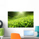 Tea Plantation Cameron Highlands Wall Decal Design 2