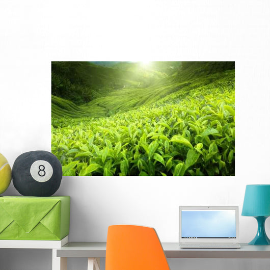 Tea Plantation Cameron Highlands Wall Decal Design 2