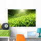 Tea Plantation Cameron Highlands Wall Decal Design 2