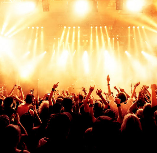 Concert Crowd Front Bright Wall Decal