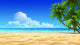 Palms Empty Idyllic Tropical Wall Decal