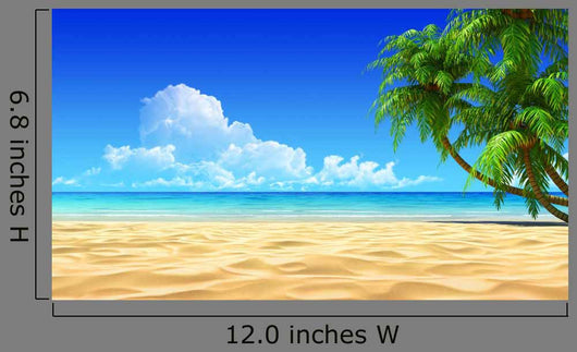 Palms Empty Idyllic Tropical Wall Decal