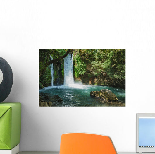 Waterfall Banias Nature Reserve Wall Decal
