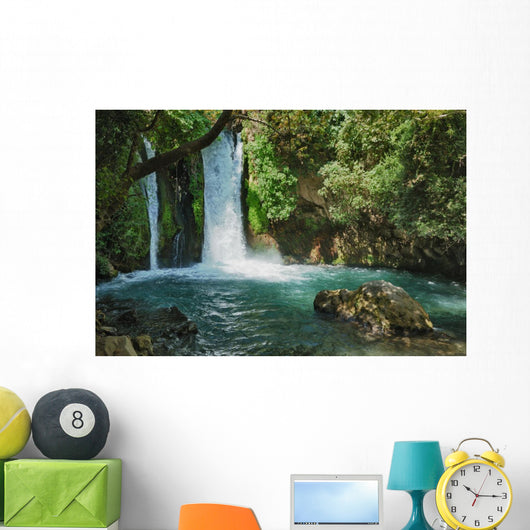 Waterfall Banias Nature Reserve Wall Decal