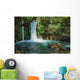 Waterfall Banias Nature Reserve Wall Decal
