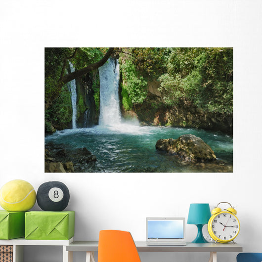 Waterfall Banias Nature Reserve Wall Decal