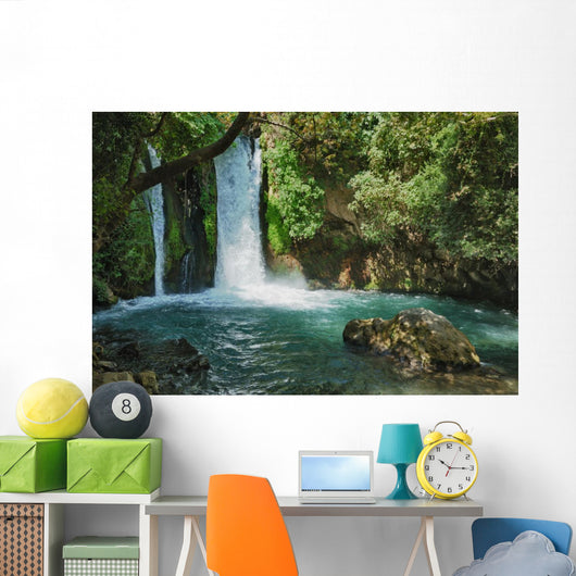 Waterfall Banias Nature Reserve Wall Decal