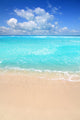 Caribbean Turquoise Beach Perfect Wall Decal