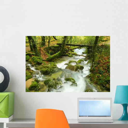 River Wall Decal