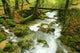 River Wall Decal
